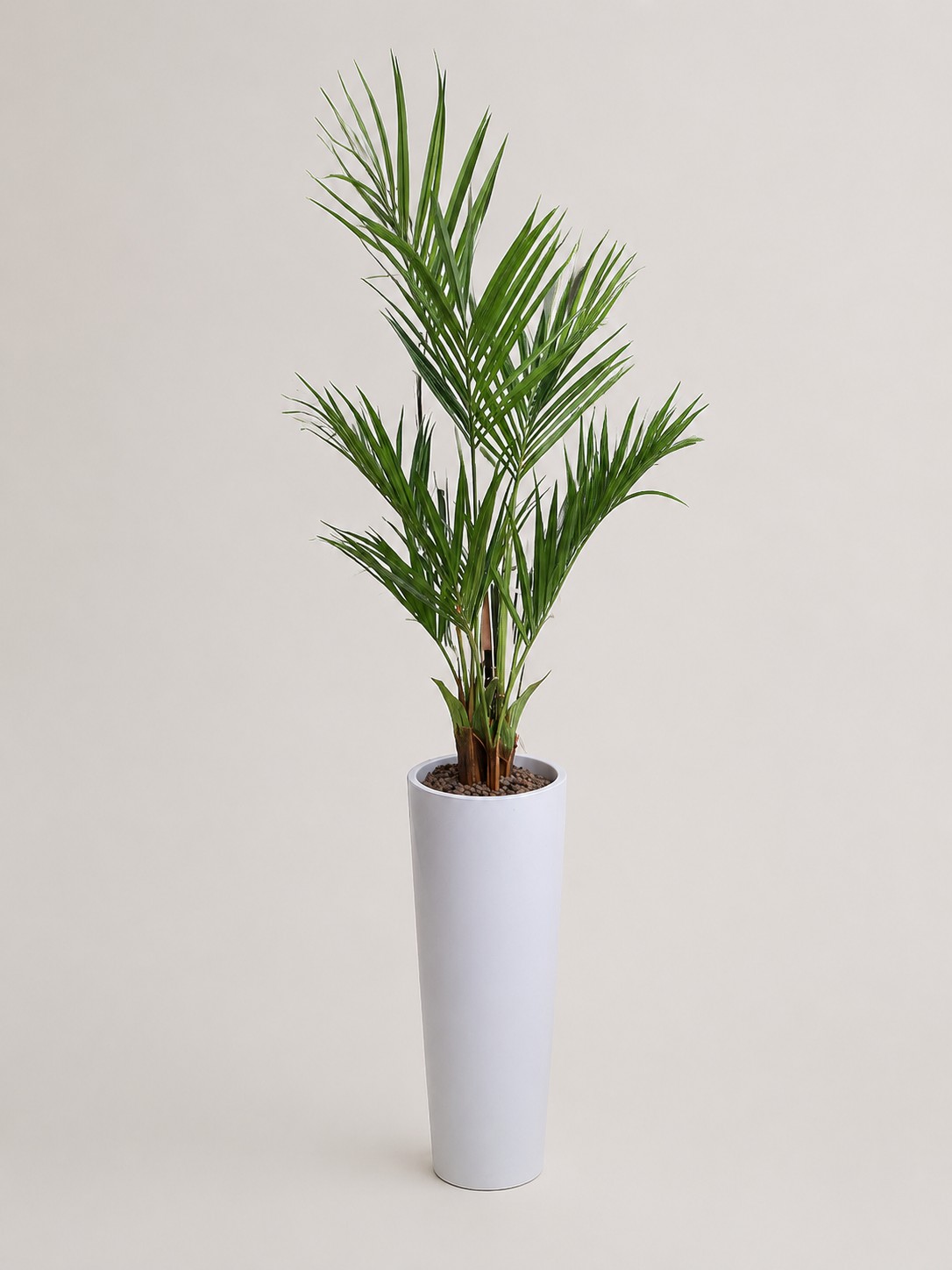 Kentia deluxe kunstpalm